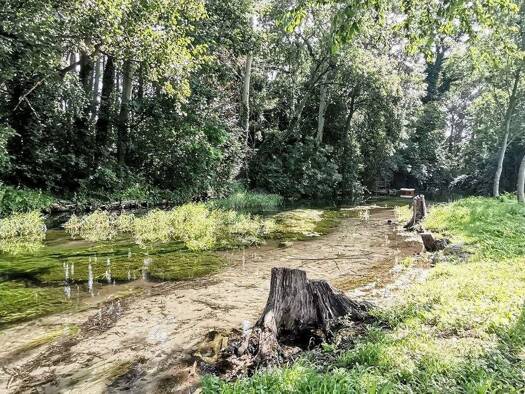 Grundstück zum Kauf 790.000 € 1.621 m² Grundstück Ebenfurth 2490