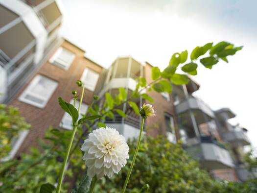 Wohnung zur Miete 430 € 2 Zimmer 61,2 m² 2. Geschoss frei ab 01.12.2026 Bergstraße 6 Geestemünde Geestemünde 27570