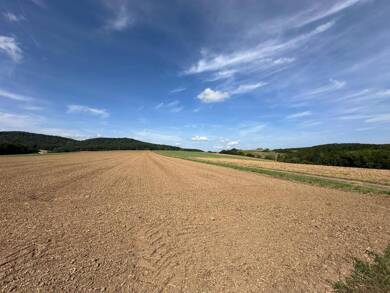 Gewerbegrundstück zum Kauf 300.000 € 26.035 m² Grundstück Nedensdorf Bad Staffelstein 96231