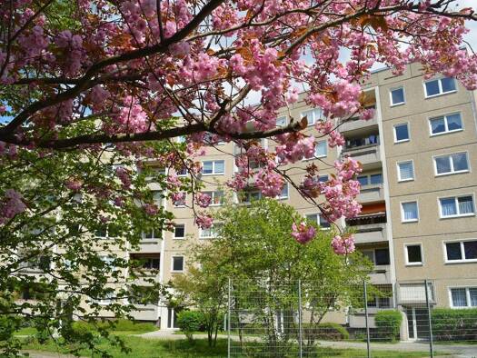 Wohnung zur Miete 360 € 3 Zimmer 55,4 m² 6. Geschoss Ernst-Abbe-Straße 10 Melchendorf Erfurt 99097