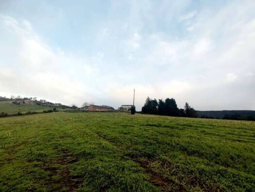 Acker-/Waldstück zum Kauf 300.000 € San Cristobal Castropol 33768