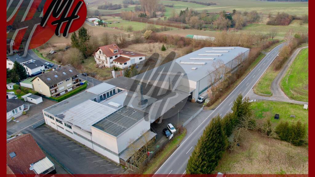 Halle/Industriefläche zum Kauf 2.500.000 € 4.650 m² Lagerfläche Langenselbold 63505