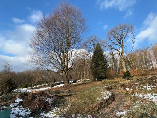 Grundstück zum Kauf 613 m² Grundstück Breitenborn Gründau 63584