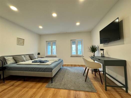 Wohnung zur Miete 850 € 1 Zimmer 50 m² 1. Geschoss Nürnberg 90489