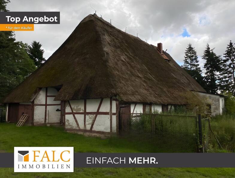Bauernhaus zum Kauf 45.000 € 22 Zimmer 450 m² 5.396 m² Grundstück Krembz Krembz 19205