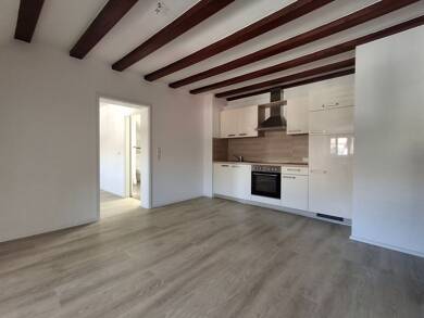 Wohnung zur Miete 500 € 2 Zimmer 48 m² Geschoss 2/2 frei ab sofort Gaienhofen Gaienhofen 78343