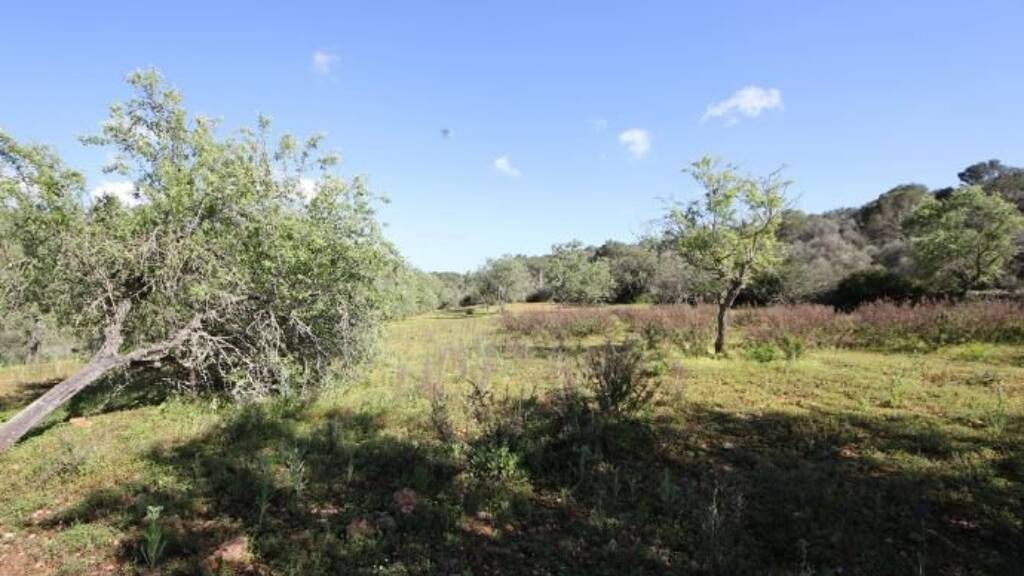 Haus zum Kauf 415.500 € 3 Zimmer 21.500 m² Grundstück Porto Petro