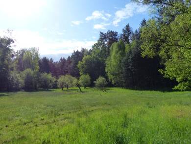 Gewerbegrundstück zum Kauf 150.000 € 236.779 m² Grundstück Banzendorfer Weg o. Nr. Lindow (Mark) Lindow (Mark) 16835