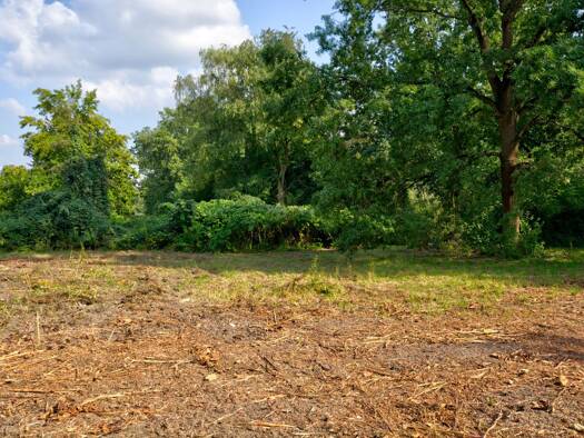 Grundstück zum Kauf 1.000.000 € 1.011 m² Grundstück Kleinmachnow 14532