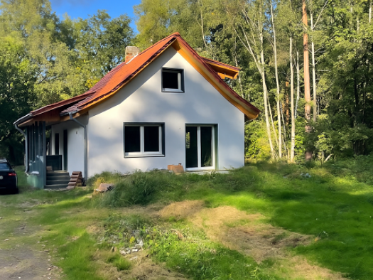 Einfamilienhaus zur Miete 995 € 2,5 Zimmer 90 m² 664 m² Grundstück Honerdingen Walsrode 29664