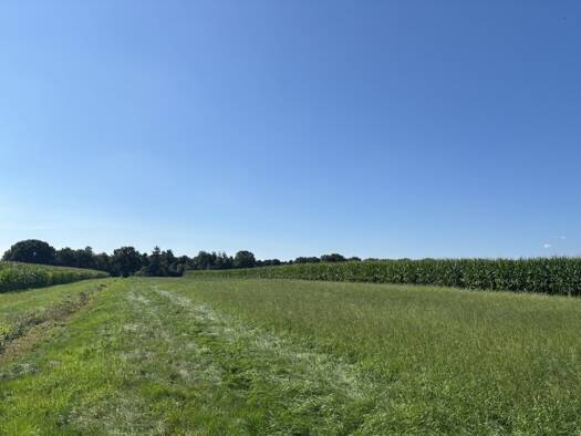 Land-/Forstwirtschaft zum Kauf 298.000 € 66.754 m² Grundstück Jeddeloh II Edewecht 26188