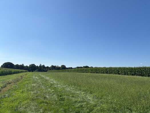 Land-/Forstwirtschaft zum Kauf 270.000 € 66.754 m² Grundstück Jeddeloh II Edewecht 26188