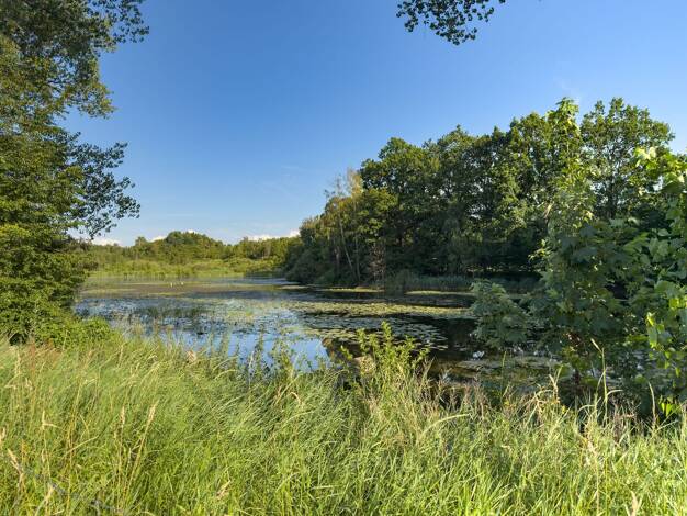 Einfamilienhaus zum Kauf 367.000 € 3 Zimmer 116 m² 657 m² Grundstück Sereetz Ratekau 23611