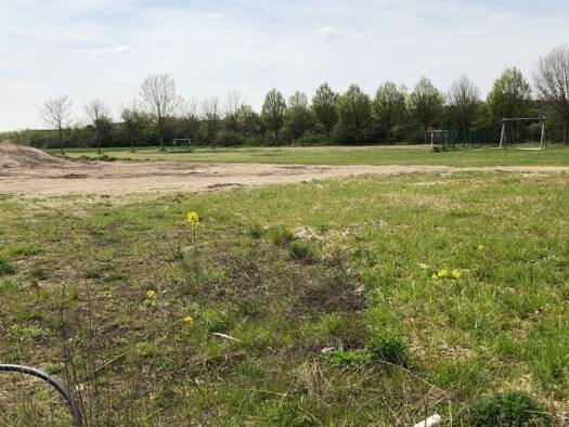 Grundstück zum Kauf provisionsfrei 91.800 € 510 m² Grundstück Borna 04552