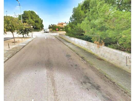 Acker-/Waldstück zum Kauf 1.399.000 € mosen llorenc riber 8 Santa Margalida 07458