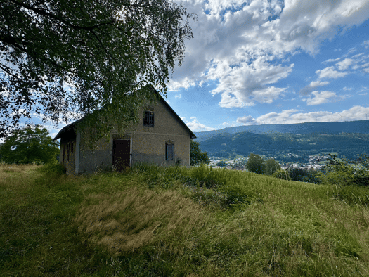 Forstwirtschaft zur Miete 300 € 11.000 m² Grundstück Sankt Barbara im Mürztal 8661