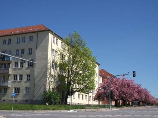 Wohnung zur Miete 380 € 3 Zimmer 66,1 m² frei ab sofort Lutherstraße 40 Lutherviertel Chemnitz 09126