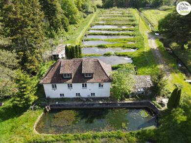 Gewerbegrundstück zum Kauf 1.180.000 € 63.000 m² Grundstück Ochsenhausen Ochsenhausen 88416