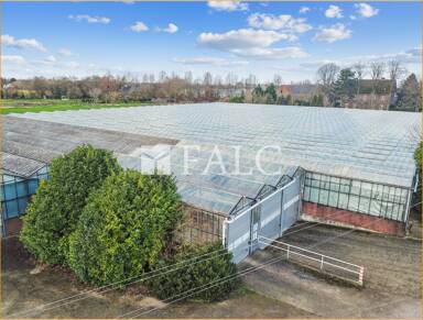 Lagerhalle zum Kauf 117 € 10.800 m² Lagerfläche Haffen Rees 46459