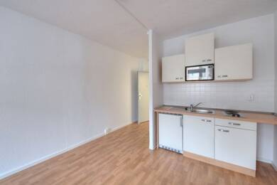 Wohnung zur Miete 313 € 1 Zimmer 24,1 m² 6. Geschoss frei ab 01.08.2025 Schülershof 1 Altstadt Halle 06108