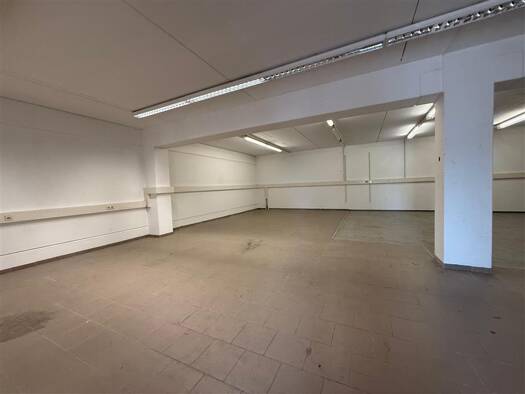 Lagerhalle zur Miete 6,50 € 240,7 m² Lagerfläche Wien 1230