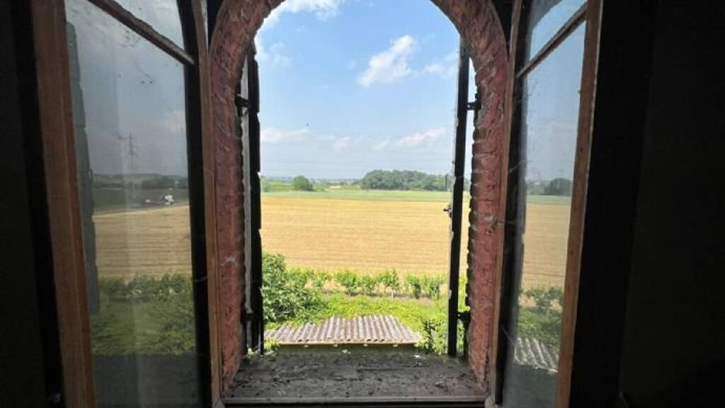 Bauernhaus zum Kauf 740.000 € 11 Zimmer 1.000 m² 10.000 m² Grundstück Corte Cà Brusà - Nr. 106 VALEGGIO SUL MINCIO 37067