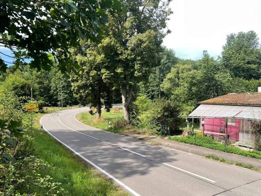 Bungalow zum Kauf 54.000 € 3 Zimmer 80 m² 1.181 m² Grundstück Hornbach 66500