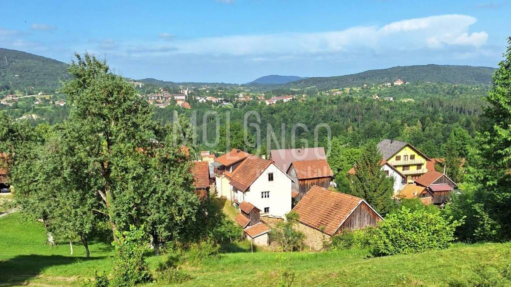 Land-/Forstwirtschaft zum Kauf 45.000 € Vujnovici, Vrbovsko Vrbovsko