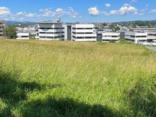 Grundstück zum Kauf 98.340 € 894 m² Grundstück Oberwart 7400