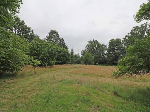 Grundstück zum Kauf 95.000 € 3.738 m² Grundstück Streetz Dannenberg (Elbe) 29451