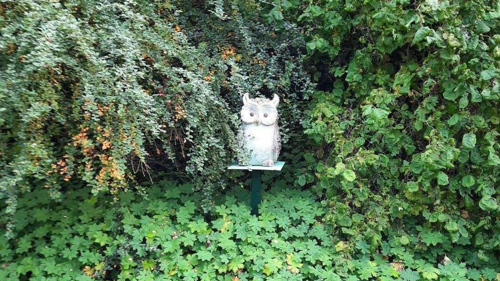 Grundstück zum Kauf 129.900 € 2.318 m² Grundstück Hopfenberg 0 Unterdürrbach Würzburg 97080