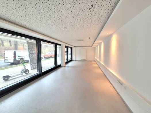 Bürofläche zur Miete provisionsfrei 986 € 1 Zimmer 78,8 m² Bürofläche Hechtstraße 83 Leipziger Vorstadt Dresden 01097