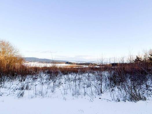 Grundstück zum Kauf provisionsfrei 278.000 € 2.912 m² Grundstück Baugenehmigung vorhanden Johannisberg 1a Johannisberg Oberviechtach 92526