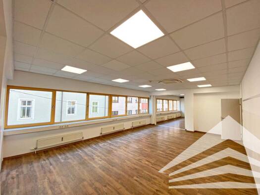 Bürofläche zur Miete 1.375 € 98,3 m² Bürofläche Rainerstraße 8 Linz 4020
