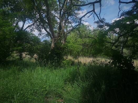 Gewerbegrundstück zum Kauf 2.999.000 € 45.000 m² Grundstück Eilenburg 04838