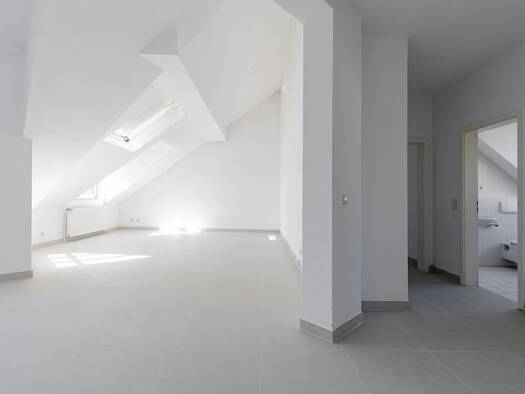 Loft zur Miete 650 € 1 Zimmer 56 m² Geschoss 4/5 frei ab sofort Tollwitz Bad Dürrenberg 06231