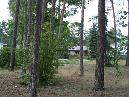 Grundstück zum Kauf 299.000 € 1.074 m² Grundstück Stolzenhagener Chaussee 7 Wandlitz 16348