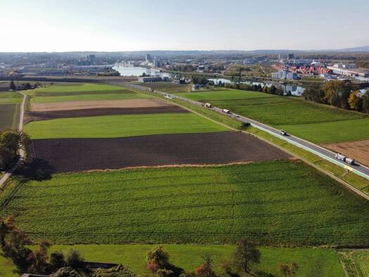 Land-/Forstwirtschaft zur Miete 100.000 m² Grundstück St. Pantaleon-Erla 4303