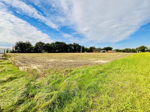 Grundstück zum Kauf 28.276 m² Grundstück Garrel 49681