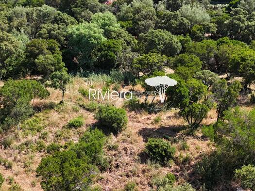Grundstück zum Kauf 892.500 € 1.031 m² Grundstück Sud Cavalaire-sur-Mer 83240