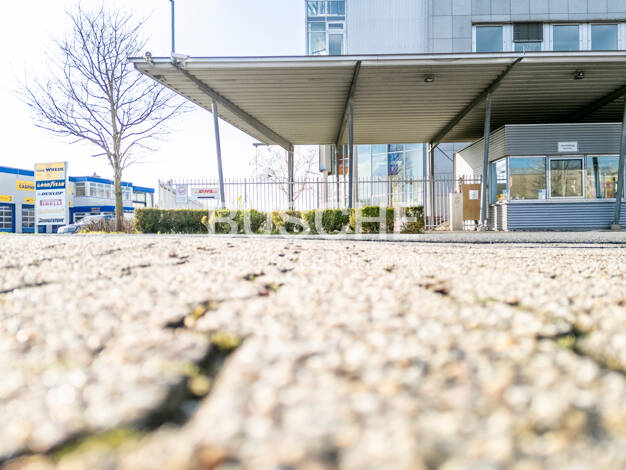 Bürofläche zur Miete 548,7 m² Bürofläche Burgsteinfurt Steinfurt 48565