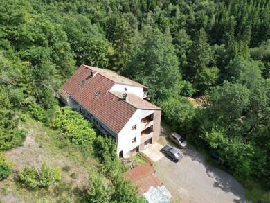 Einfamilienhaus zum Kauf 360.000 € 10 Zimmer 300 m² 21.250 m² Grundstück Deudesfeld 54570