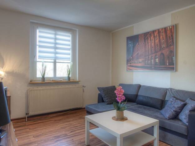 Wohnung zur Miete Wohnen auf Zeit 1.200 € 3 Zimmer 65 m² frei ab sofort Seehausen Leipzig 04356
