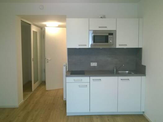 Wohnung zur Miete 346 € 1 Zimmer 24,7 m² 1. Geschoss frei ab 16.11.2026 Kopernikusstraße 7 B Nordstadt Nord 30167