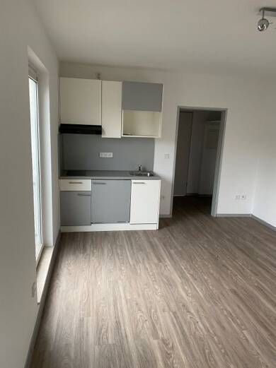 Studio zur Miete 350 € 1 Zimmer 25 m² frei ab sofort Mombachstraße 88 Rothenditmold Kassel 34127