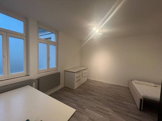 Studio zur Miete 500 € 1 Zimmer 30 m² Geschoss 1/2 frei ab sofort Hauptstraße 36 Innenstadt Erlangen 91054