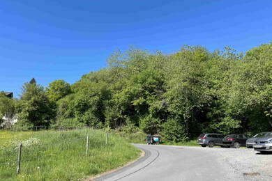 Grundstück zum Kauf 40.000 € 2.120 m² Grundstück Neunkirchen Daun / Neunkirchen 54550