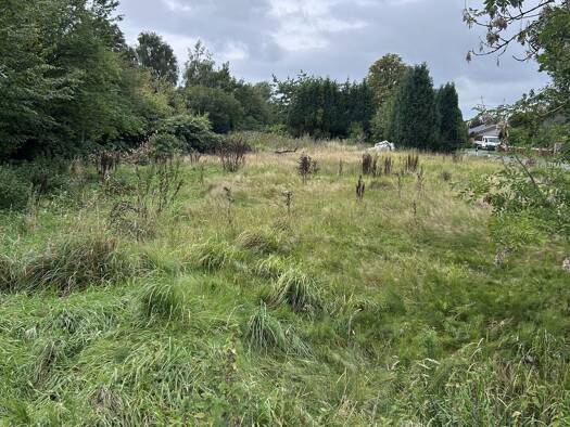 Grundstück zum Kauf 98.500 € 1.652 m² Grundstück Nindorf Drochtersen 21706