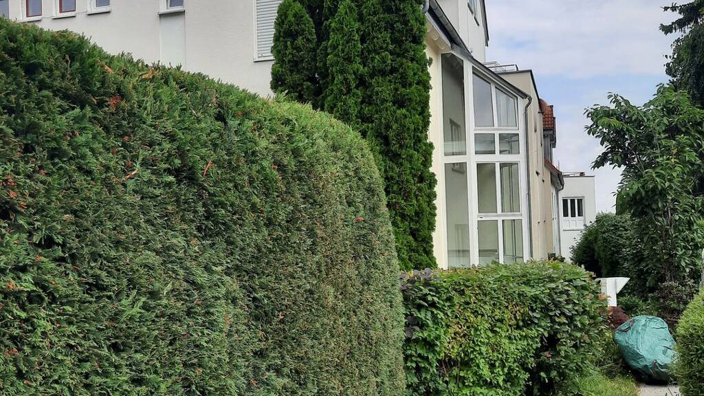 Wohnung zum Kauf 80.000 € 2 Zimmer 66,2 m² 1. Geschoss Chemnitzer Str. 27f Hartmannsdorf 09232