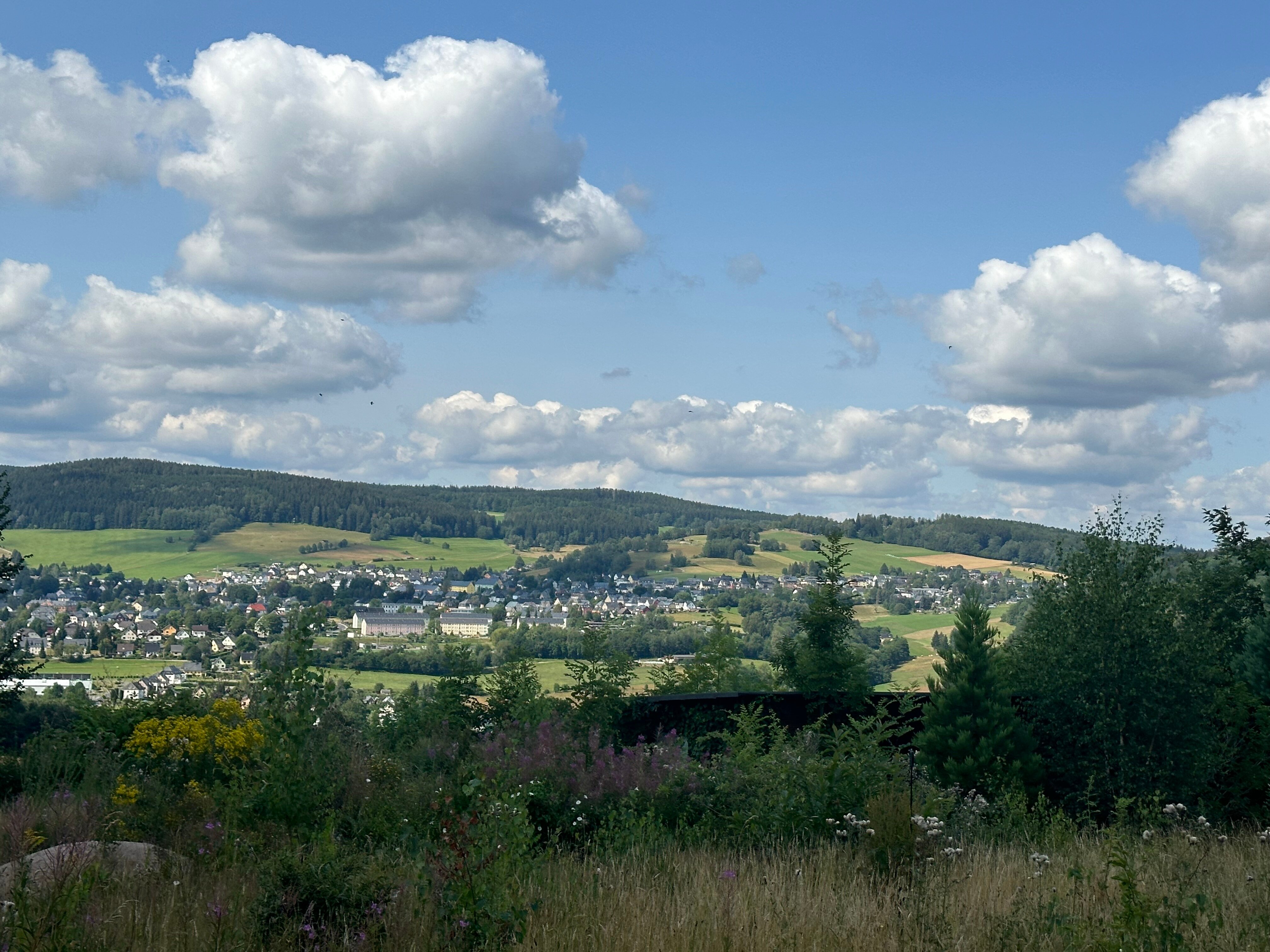 Grundstück zum Kauf provisionsfrei 1.000 m²<br/>Grundstück Bernsbach Lauter-Bernsbach 08315